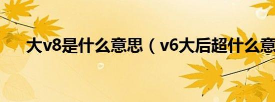 大v8是什么意思（v6大后超什么意思）