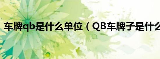 车牌qb是什么单位（QB车牌子是什么意思）