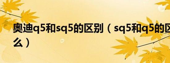 奥迪q5和sq5的区别（sq5和q5的区别是什么）