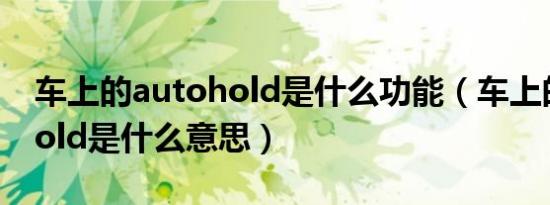 车上的autohold是什么功能（车上的autohold是什么意思）