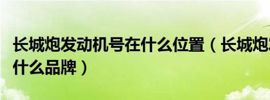 长城炮发动机号在什么位置（长城炮发动机是什么品牌）