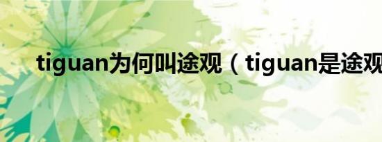 tiguan为何叫途观（tiguan是途观吗）