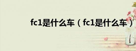 fc1是什么车（fc1是什么车）