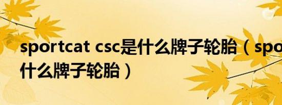 sportcat csc是什么牌子轮胎（sportcat是什么牌子轮胎）