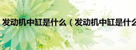 发动机中缸是什么（发动机中缸是什么意思）