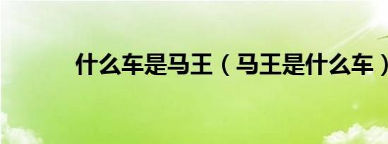 什么车是马王（马王是什么车）