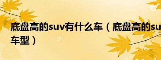 底盘高的suv有什么车（底盘高的suv有哪些车型）