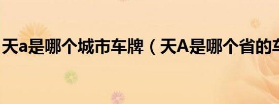 天a是哪个城市车牌（天A是哪个省的车牌号）