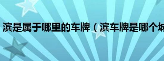 滨是属于哪里的车牌（滨车牌是哪个城市的）