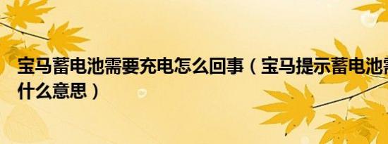 宝马蓄电池需要充电怎么回事（宝马提示蓄电池需要充电是什么意思）