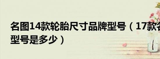 名图14款轮胎尺寸品牌型号（17款名图轮胎型号是多少）