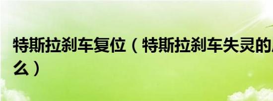 特斯拉刹车复位（特斯拉刹车失灵的原因是什么）