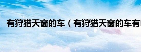 有狩猎天窗的车（有狩猎天窗的车有哪些）
