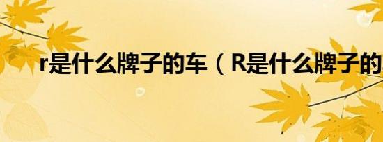 r是什么牌子的车（R是什么牌子的车）