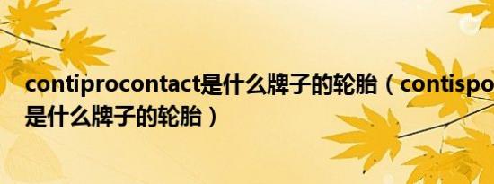 contiprocontact是什么牌子的轮胎（contisportcontact是什么牌子的轮胎）