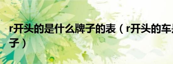 r开头的是什么牌子的表（r开头的车是什么牌子）