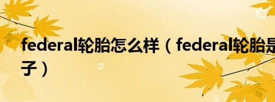 federal轮胎怎么样（federal轮胎是什么牌子）