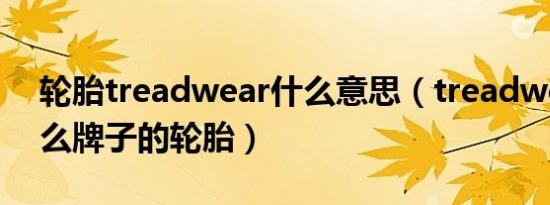 轮胎treadwear什么意思（treadwear是什么牌子的轮胎）