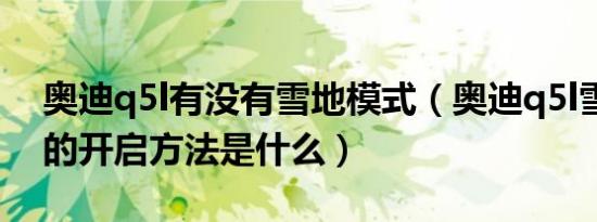 奥迪q5l有没有雪地模式（奥迪q5l雪地模式的开启方法是什么）