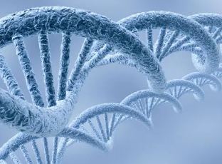 科学家可能需要重新思考基因组学如何影响强迫症的风险