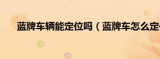 蓝牌车辆能定位吗（蓝牌车怎么定位）