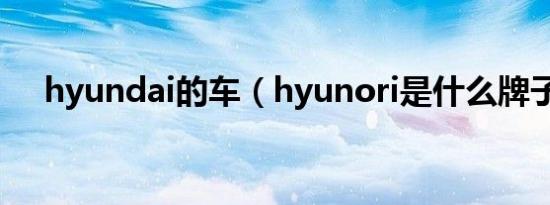 hyundai的车（hyunori是什么牌子车）