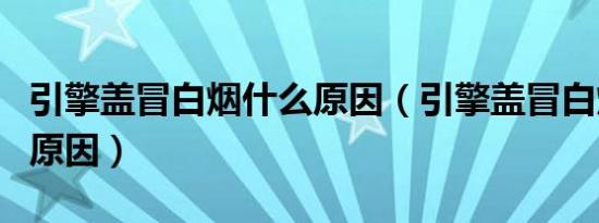 引擎盖冒白烟什么原因（引擎盖冒白烟有几种原因）