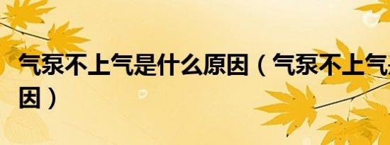 气泵不上气是什么原因（气泵不上气是什么原因）