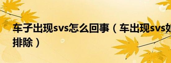 车子出现svs怎么回事（车出现svs如何自己排除）