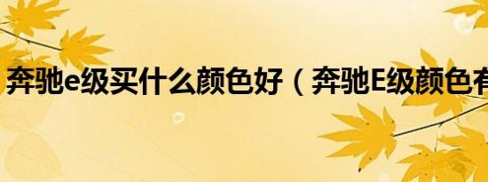 奔驰e级买什么颜色好（奔驰E级颜色有哪些）