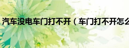 汽车没电车门打不开（车门打不开怎么解决）