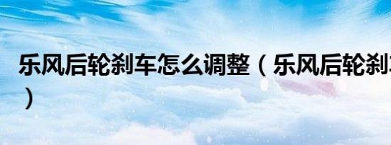 乐风后轮刹车怎么调整（乐风后轮刹车多久换）
