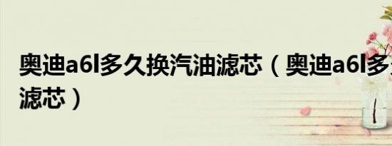奥迪a6l多久换汽油滤芯（奥迪a6l多久换汽油滤芯）