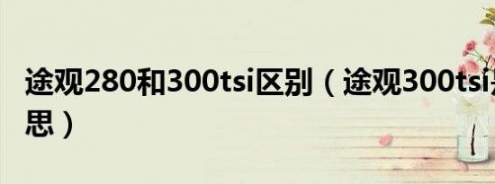 途观280和300tsi区别（途观300tsi是什么意思）