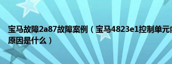 宝马故障2a87故障案例（宝马4823e1控制单元内部故障的原因是什么）