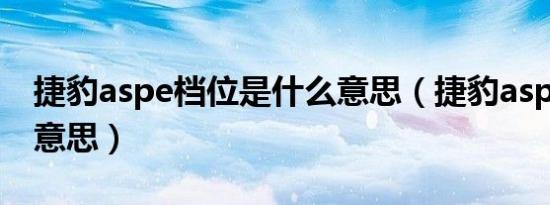 捷豹aspe档位是什么意思（捷豹aspc是什么意思）