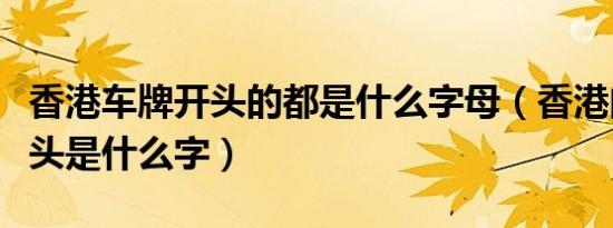 香港车牌开头的都是什么字母（香港的车牌开头是什么字）
