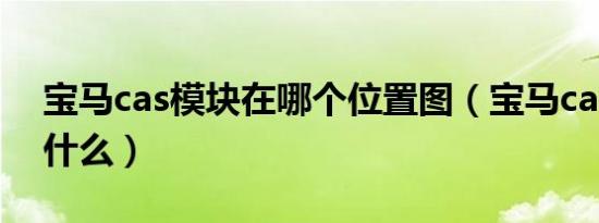 宝马cas模块在哪个位置图（宝马cas模块是什么）