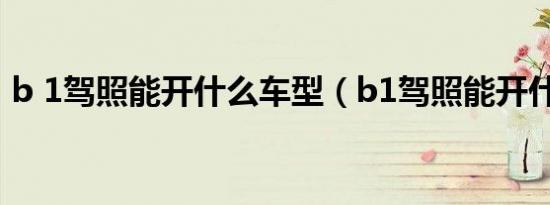 b 1驾照能开什么车型（b1驾照能开什么车）