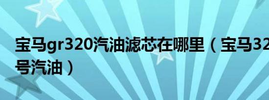 宝马gr320汽油滤芯在哪里（宝马320加多少号汽油）