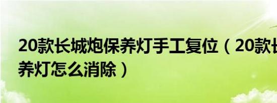 20款长城炮保养灯手工复位（20款长城炮保养灯怎么消除）