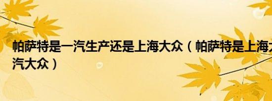 帕萨特是一汽生产还是上海大众（帕萨特是上海大众还是一汽大众）