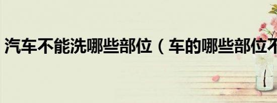 汽车不能洗哪些部位（车的哪些部位不能洗）