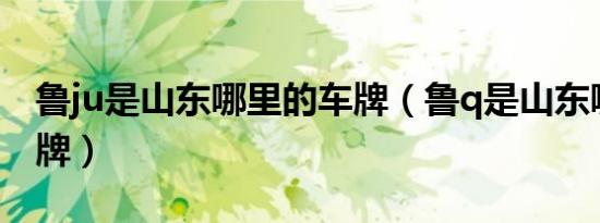 鲁ju是山东哪里的车牌（鲁q是山东哪里的车牌）