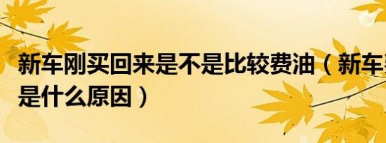 新车刚买回来是不是比较费油（新车费油一般是什么原因）
