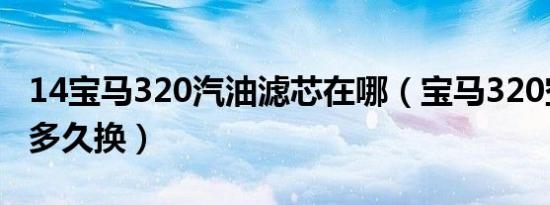 14宝马320汽油滤芯在哪（宝马320空气滤芯多久换）