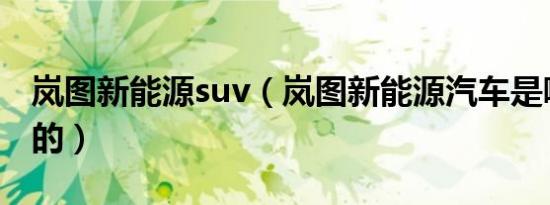 岚图新能源suv（岚图新能源汽车是哪个公司的）
