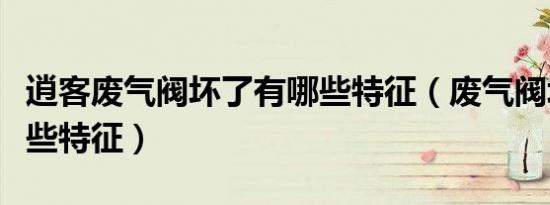 逍客废气阀坏了有哪些特征（废气阀坏了有哪些特征）