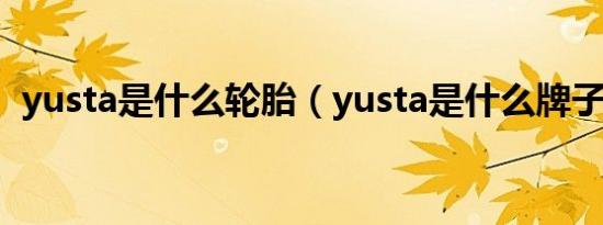 yusta是什么轮胎（yusta是什么牌子轮胎）