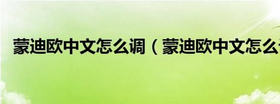 蒙迪欧中文怎么调（蒙迪欧中文怎么设置）